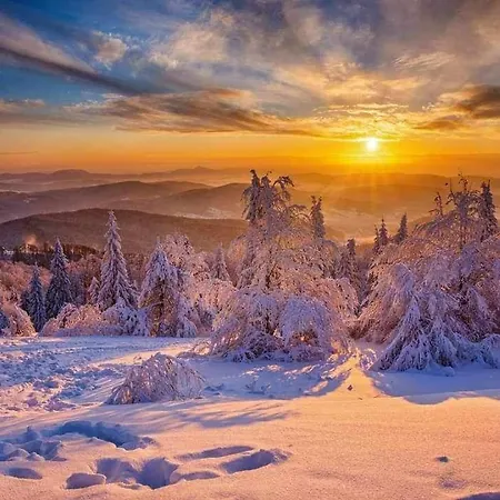 酒店 Krynicka Koliba Na Jaworzynie Krynickiej 克雷尼察